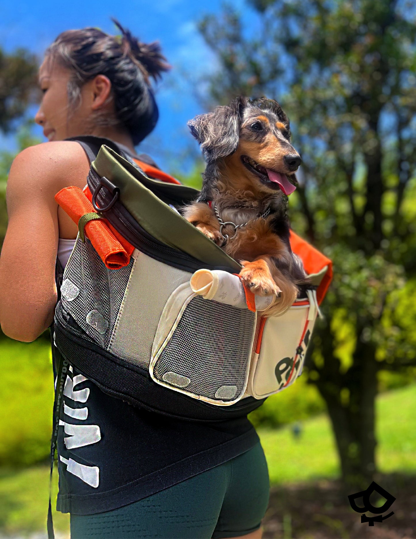 Backpackers' Pet Carrier