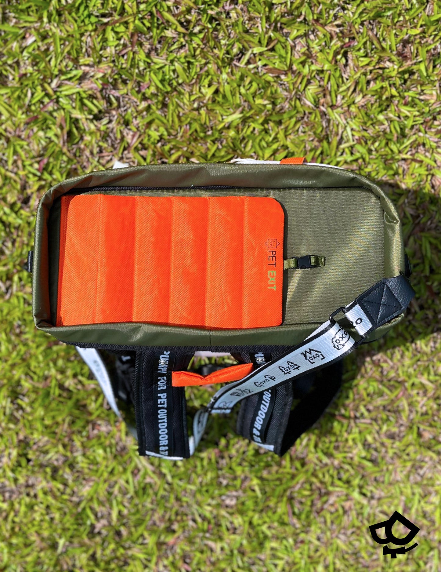 Backpackers' Pet Carrier
