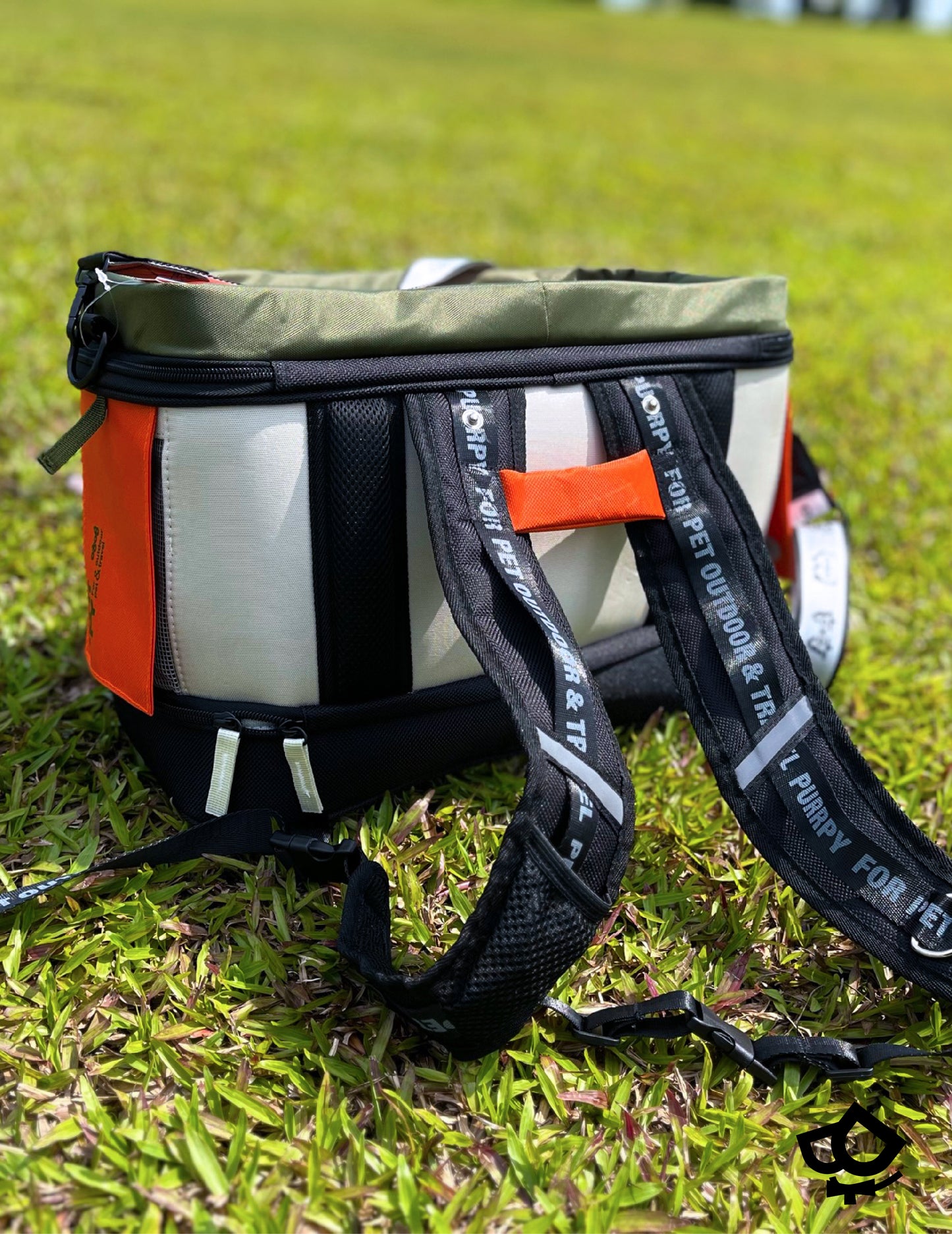 Backpackers' Pet Carrier