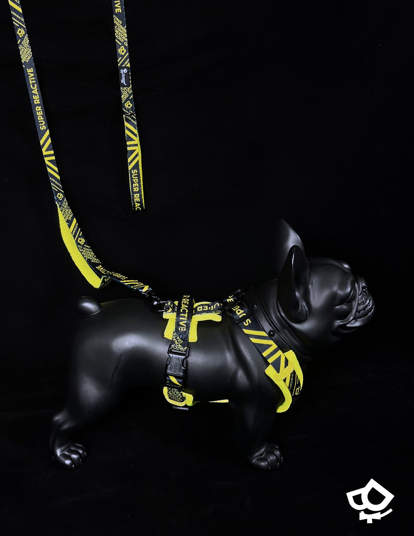Super Reactive Leash