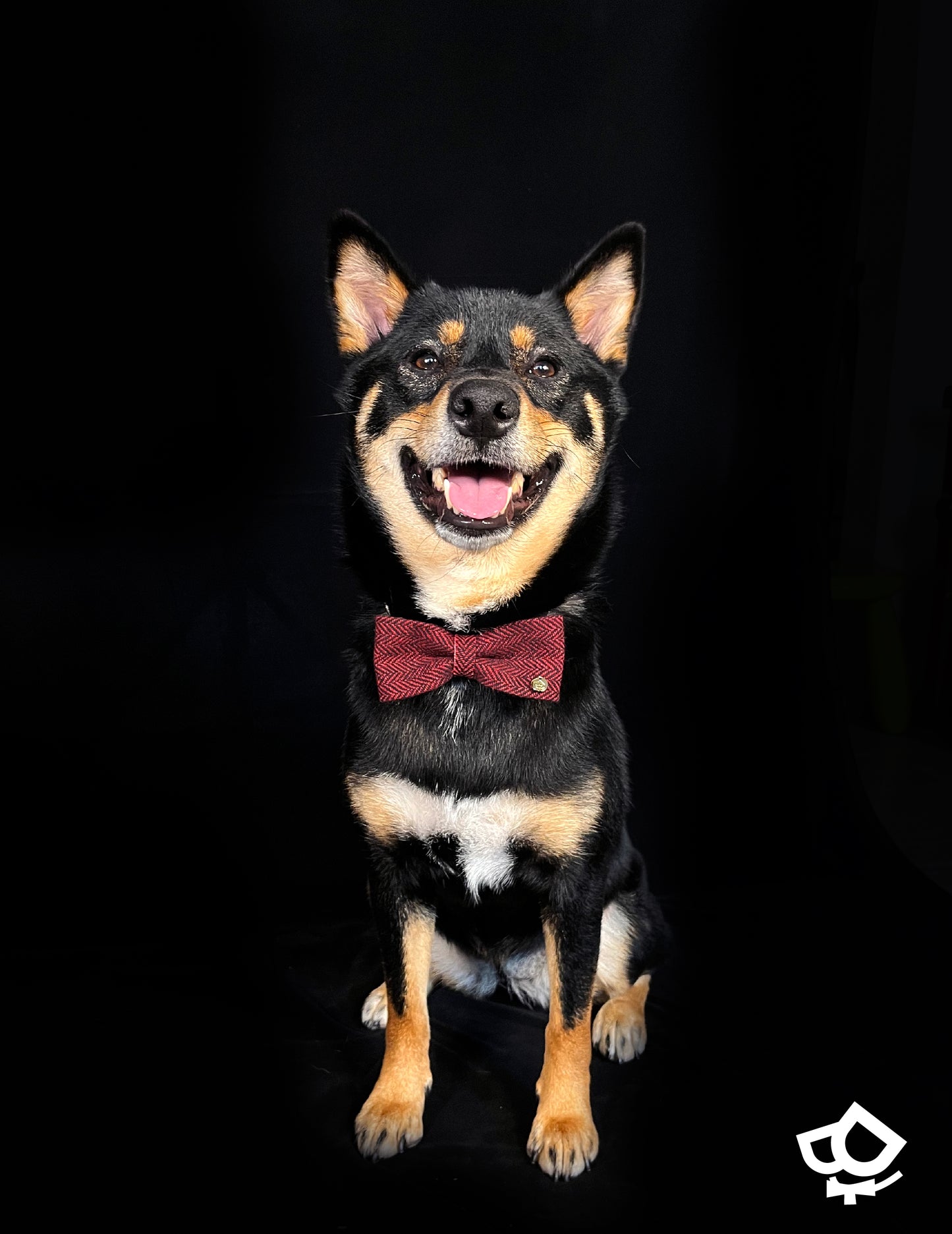 Woolly Woven Bowtie