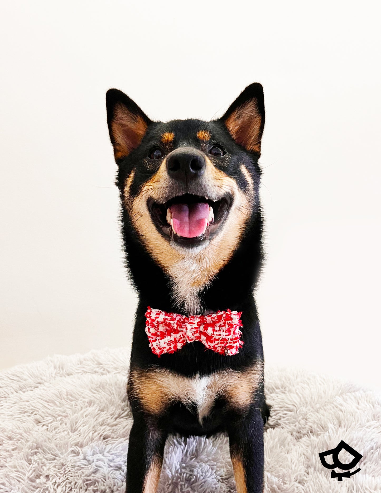 Citizens Of Singapaw Bowtie