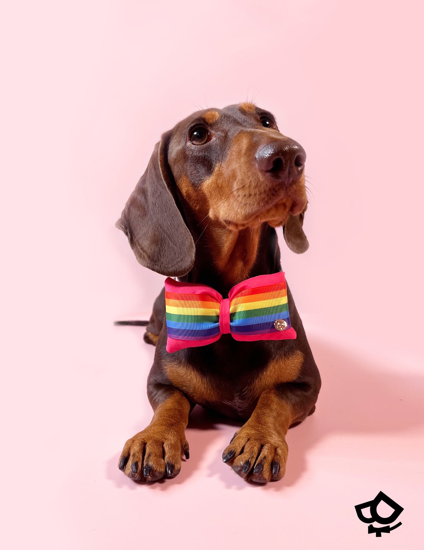 Wear It With Pride Bowtie