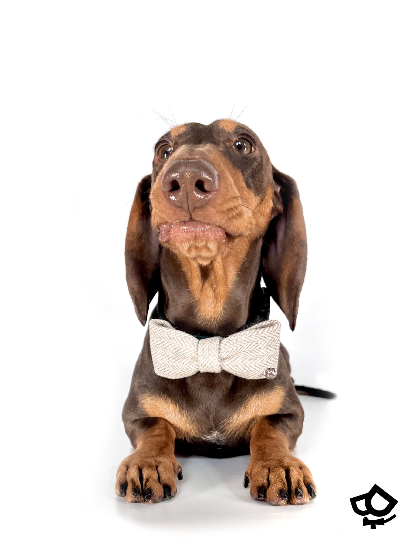 Woolly Woven Bowtie