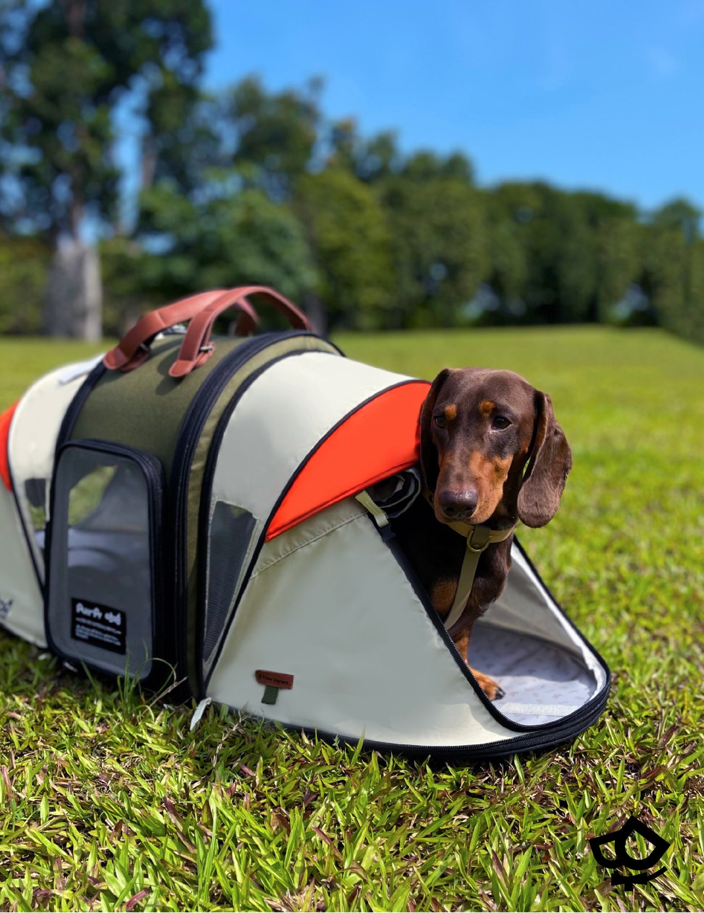 Mini Camper Pet Carrier