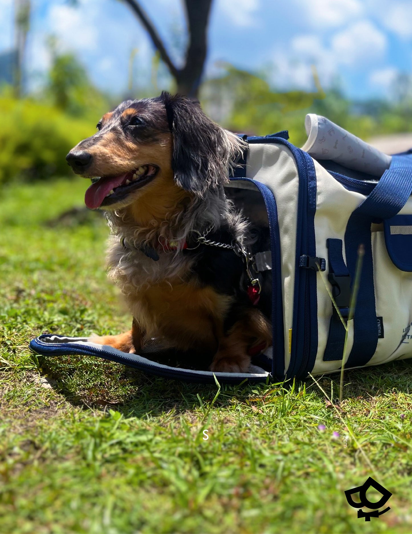 Duffle Pet Carrier