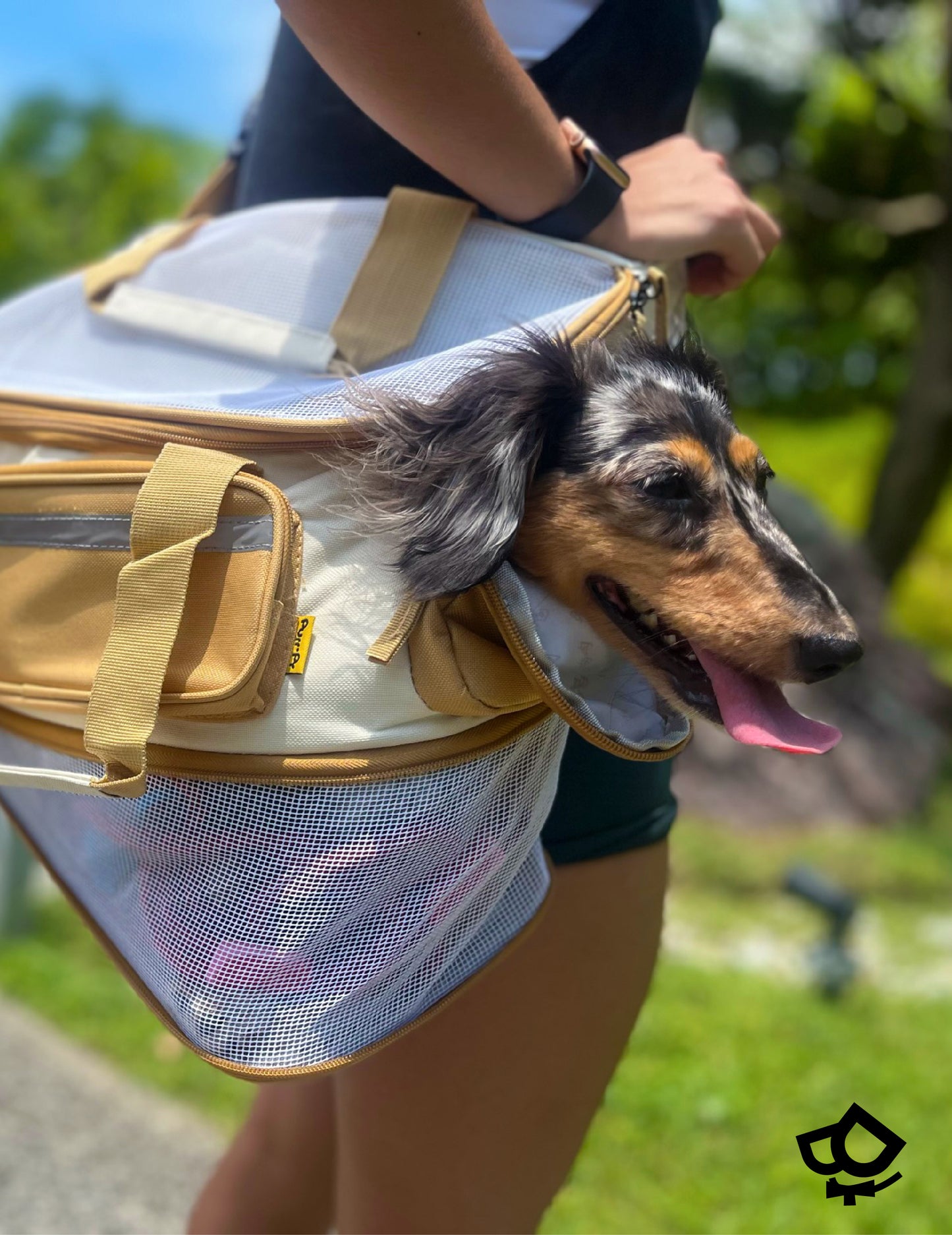 Sling Pet Carrier