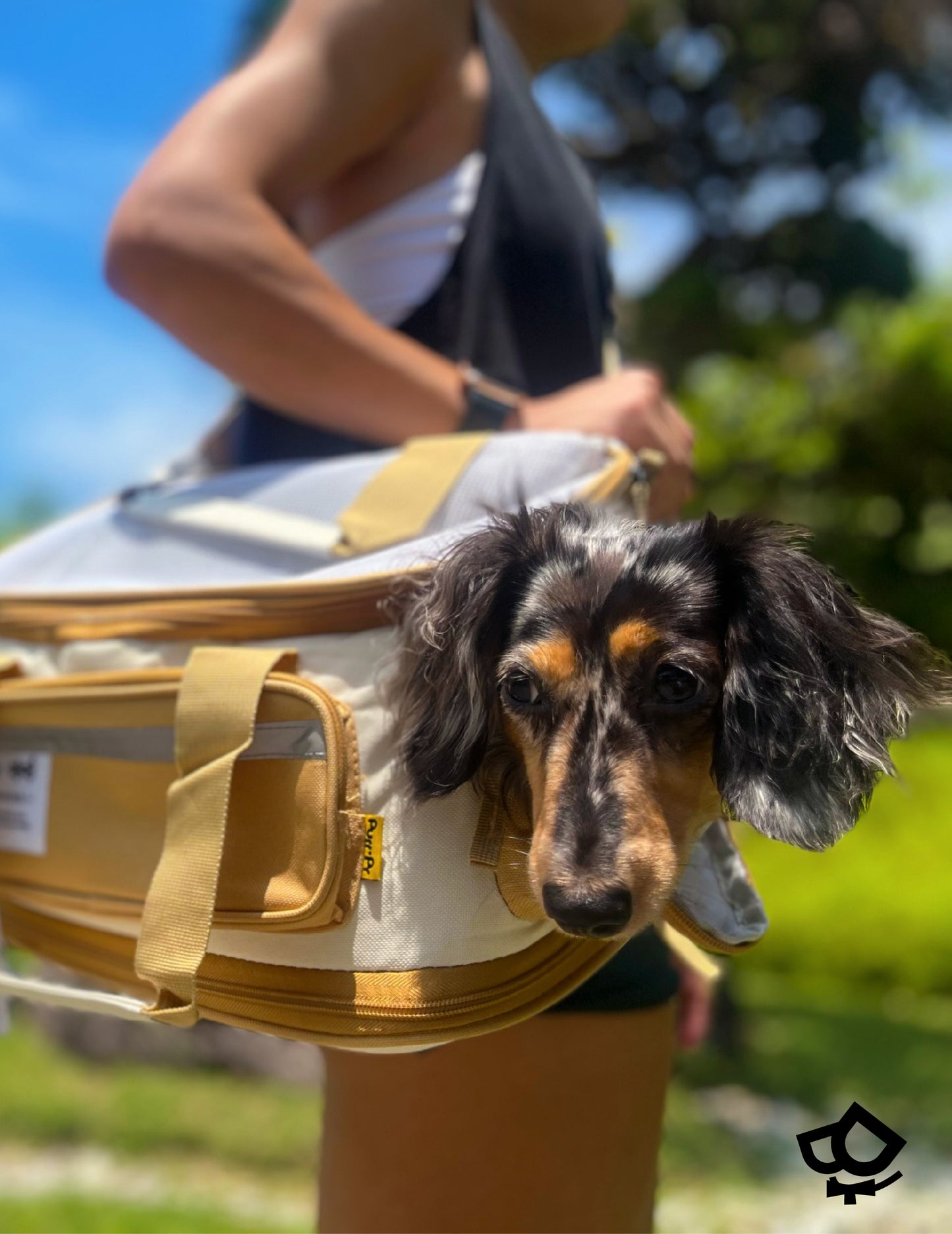 Sling Pet Carrier