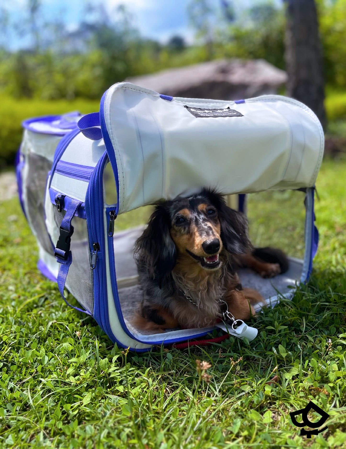 Expandable Pet Carrier