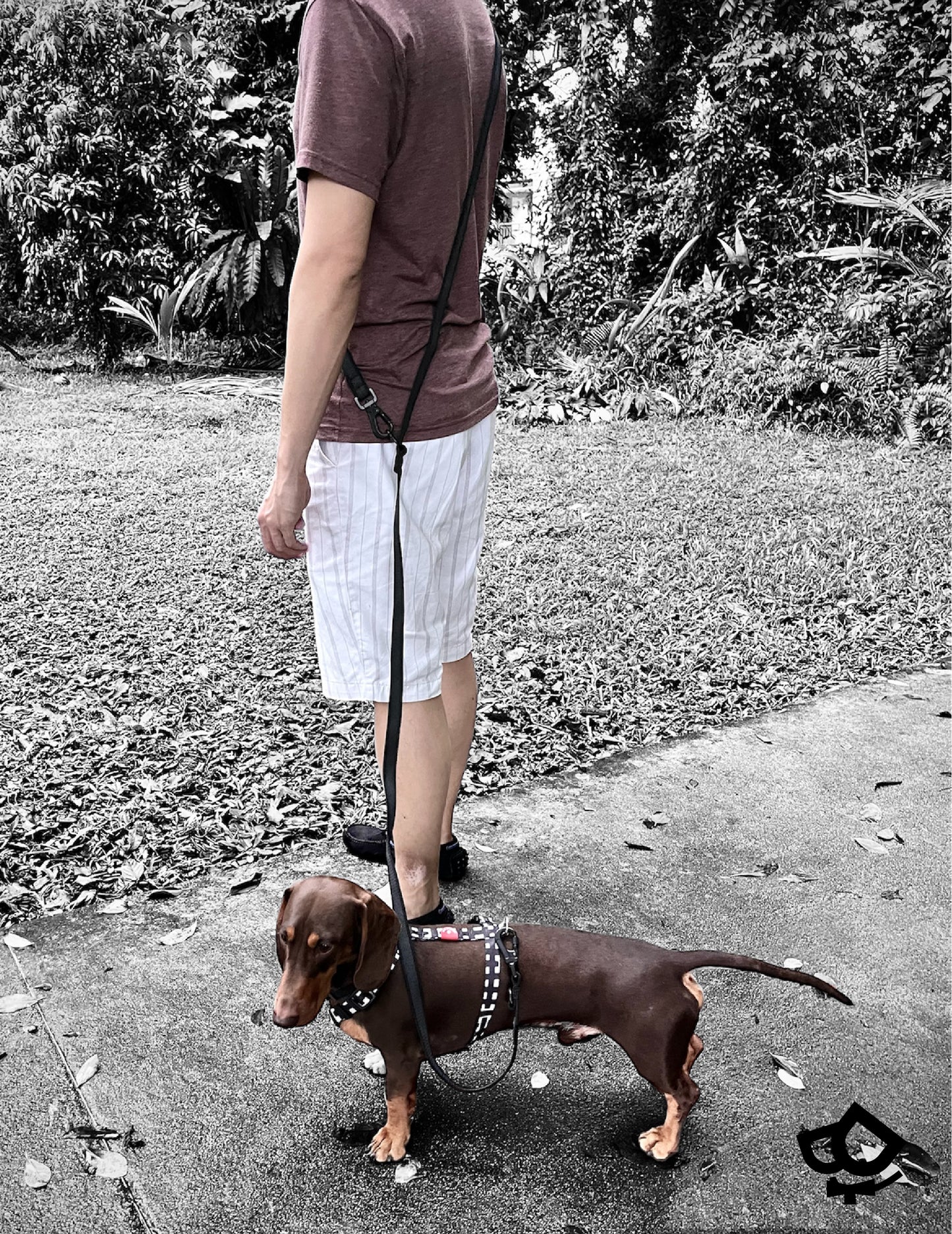 Pro Grip Leash