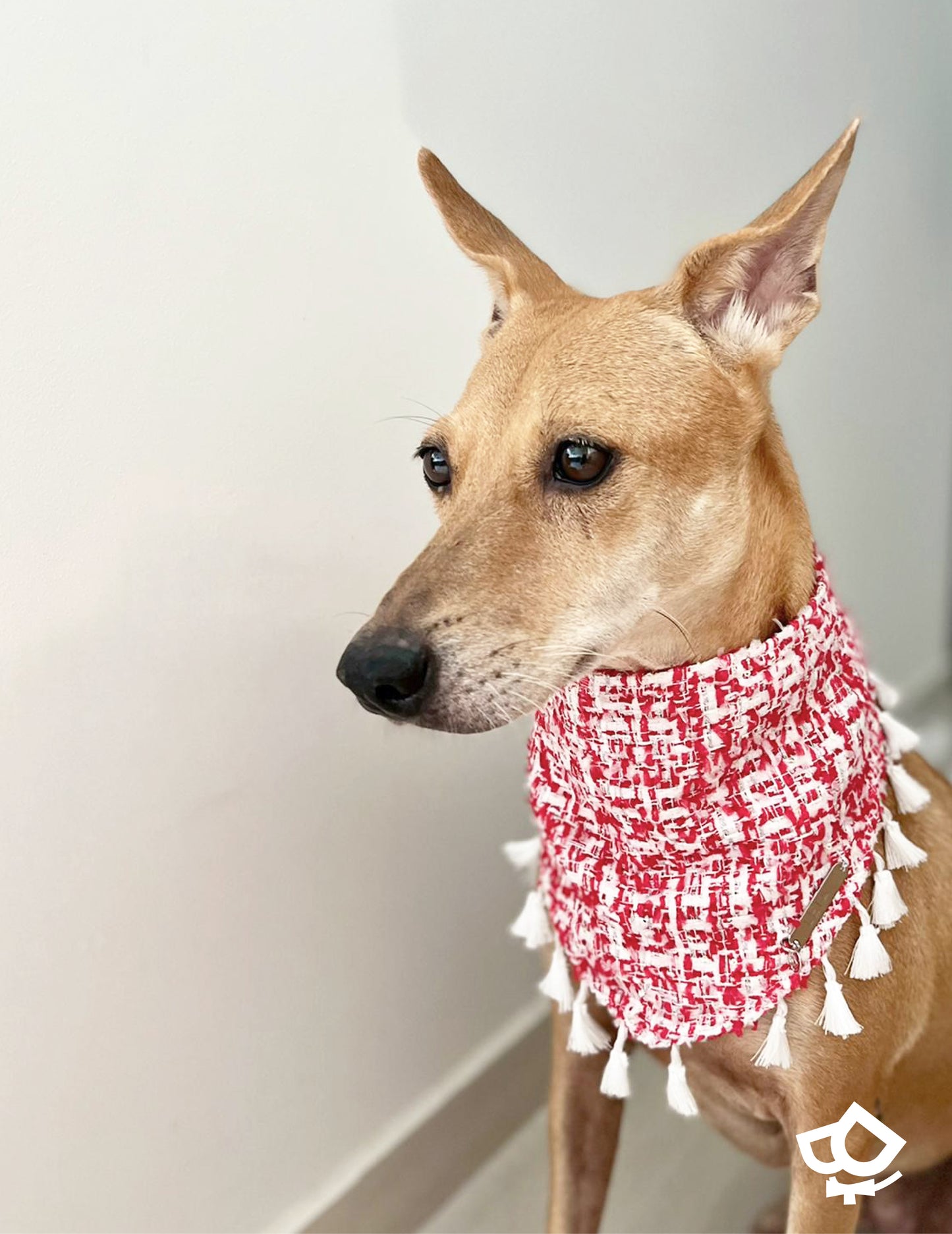 Citizens of Singapaw Bandanna