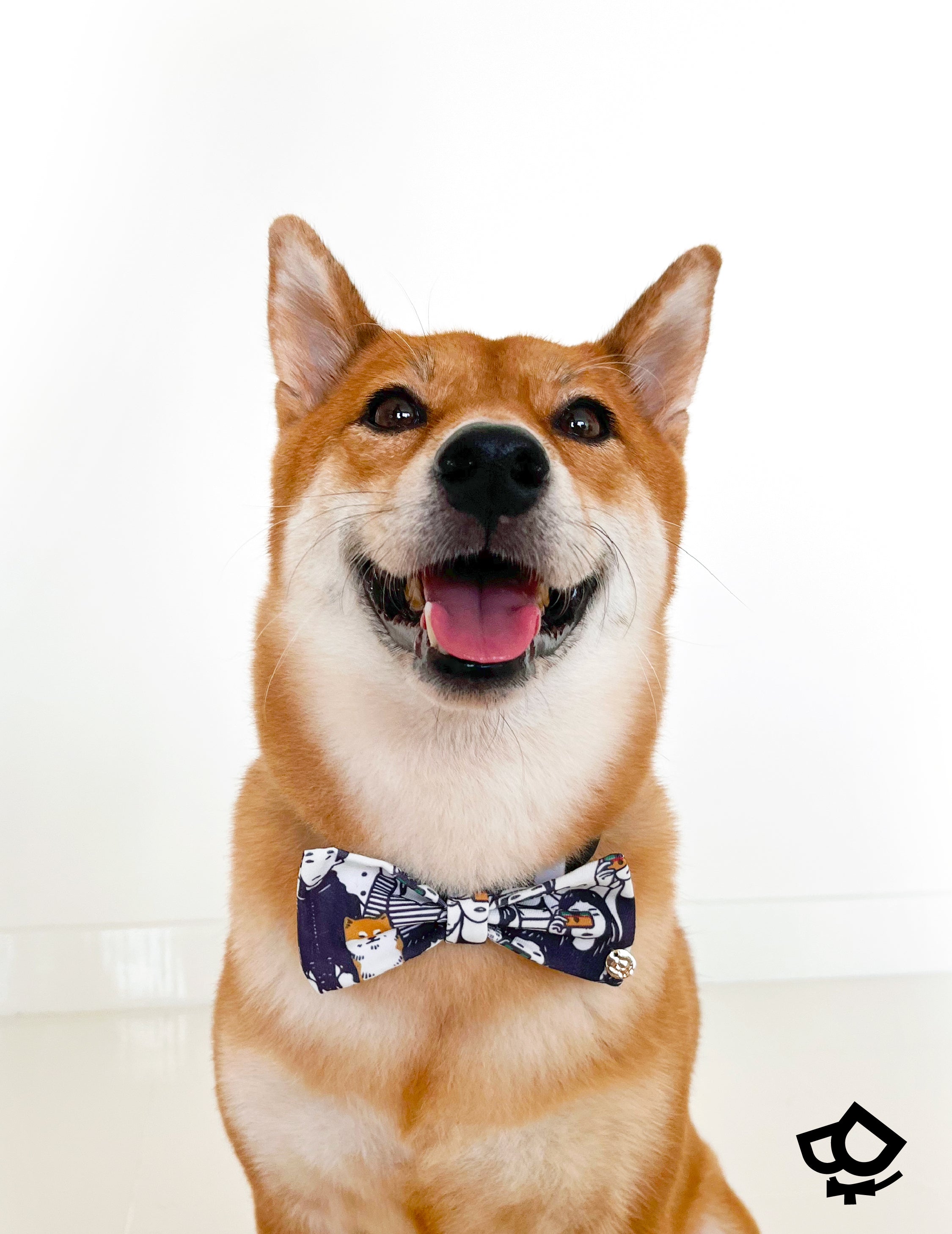 Shiba inu cheap bow tie